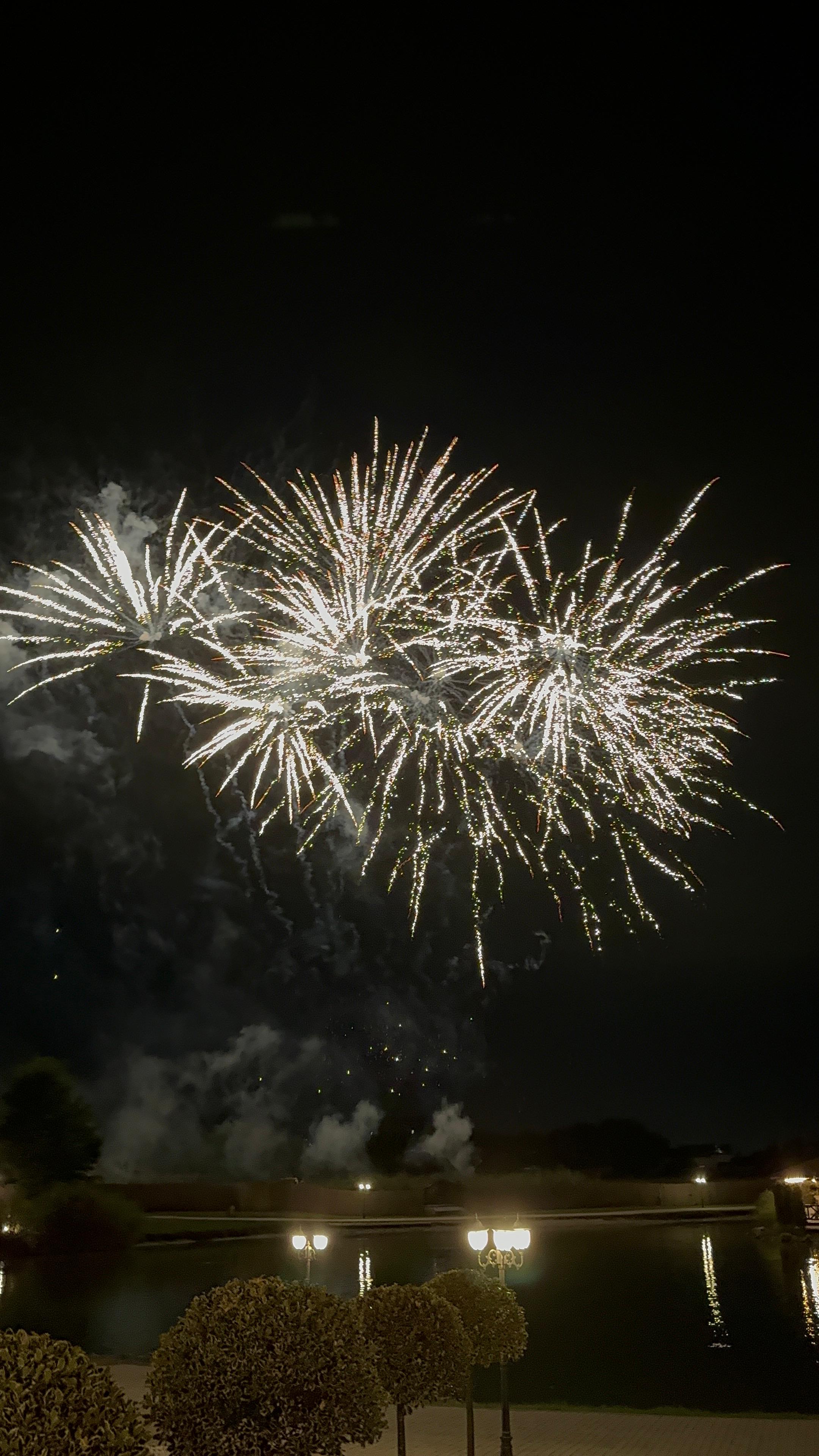 Spectacol și efecte speciale Pyromagia Events